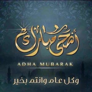 Meet your Posher, Sidi